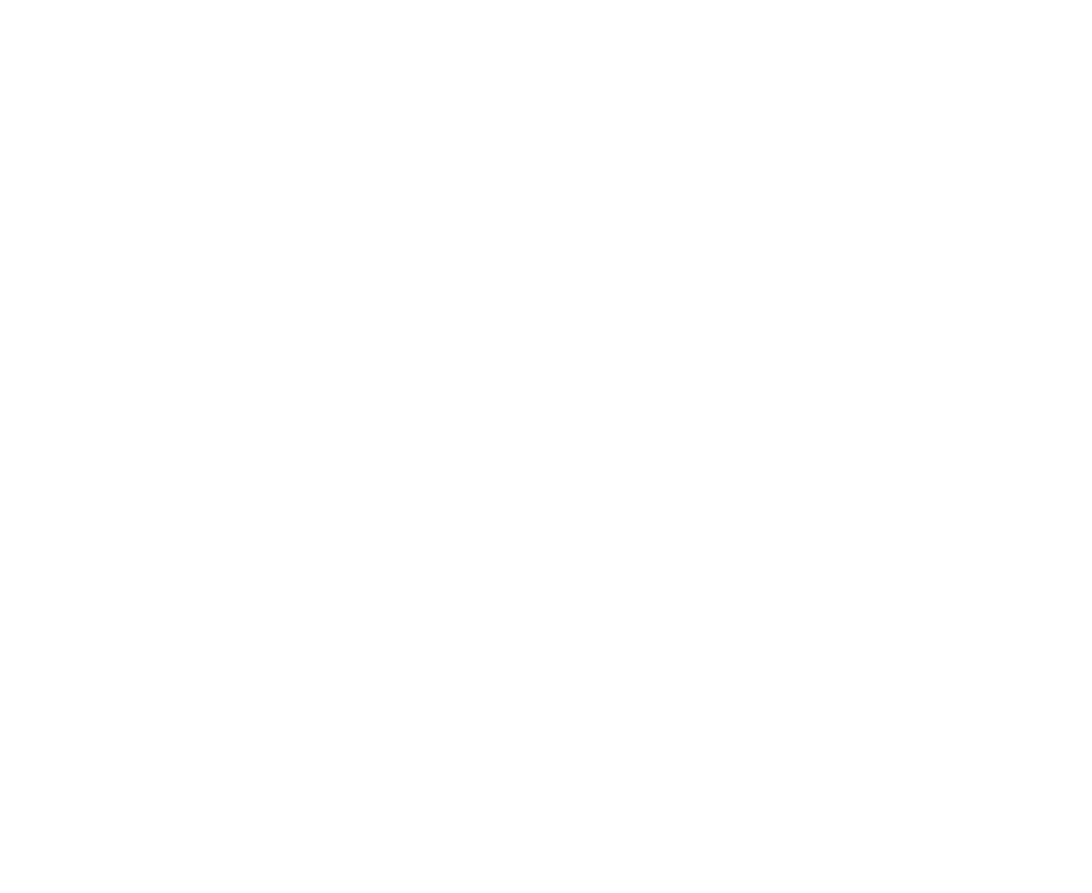 Logo Eurominority