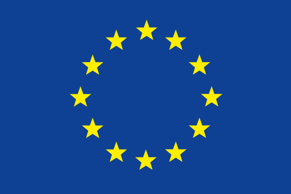 European Flag